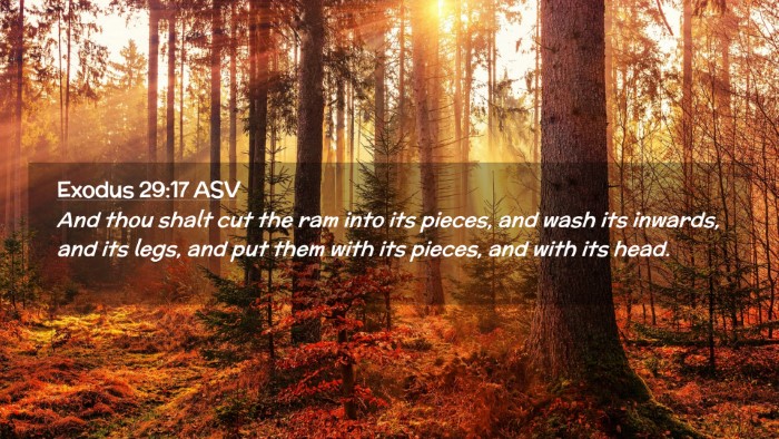 Picture 02 - Exodus 29:17 ASV Desktop Wallpaper - And thou shalt cut the ram into its pieces, and - Desktop Bible Verse Wallpaper