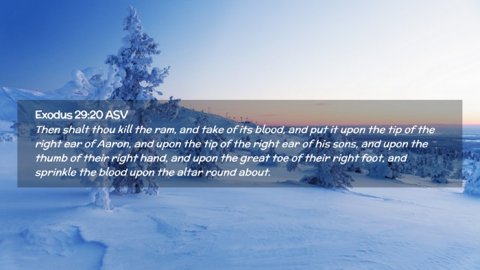 Picture 02 - Exodus 29:20 ASV Desktop Wallpaper - Then shalt thou kill the ram, and take of its - Desktop Bible Verse Wallpaper