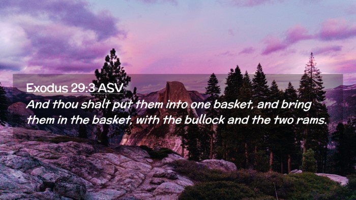 Picture 02 - Exodus 29:3 ASV Desktop Wallpaper - And thou shalt put them into one basket, and - Desktop Bible Verse Wallpaper