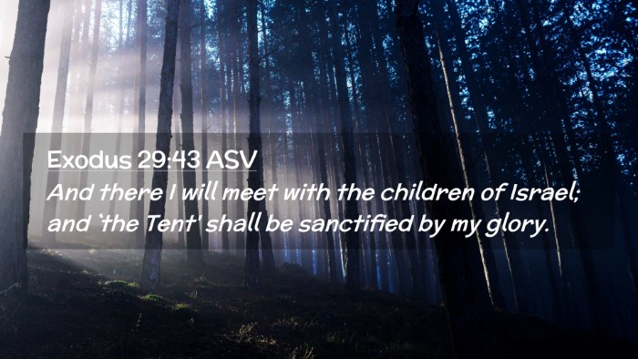 Picture 02 - Exodus 29:43 ASV Desktop Wallpaper - And there I will meet with the children of - Desktop Bible Verse Wallpaper