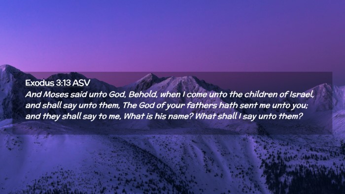 Picture 02 - Exodus 3:13 ASV Desktop Wallpaper - And Moses said unto God, Behold, when I come unto - Desktop Bible Verse Wallpaper