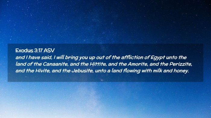 Picture 02 - Exodus 3:17 ASV Desktop Wallpaper - and I have said, I will bring you up out of the - Desktop Bible Verse Wallpaper