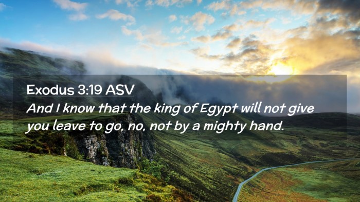 Picture 02 - Exodus 3:19 ASV Desktop Wallpaper - And I know that the king of Egypt will not give - Desktop Bible Verse Wallpaper