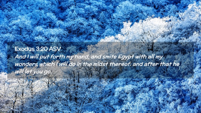 Picture 02 - Exodus 3:20 ASV Desktop Wallpaper - And I will put forth my hand, and smite Egypt - Desktop Bible Verse Wallpaper