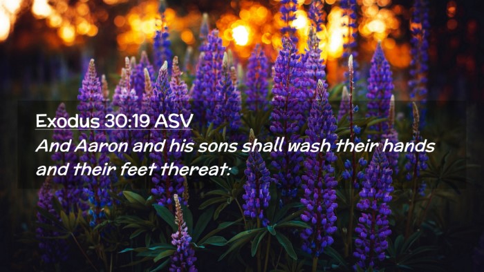 Picture 02 - Exodus 30:19 ASV Desktop Wallpaper - And Aaron and his sons shall wash their hands and - Desktop Bible Verse Wallpaper