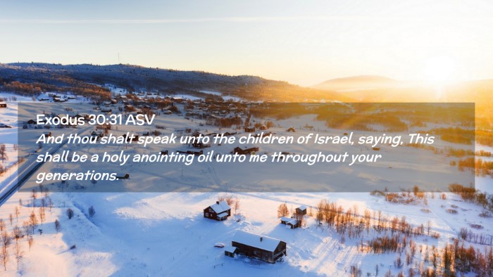 Picture 02 - Exodus 30:31 ASV Desktop Wallpaper - And thou shalt speak unto the children of Israel, - Desktop Bible Verse Wallpaper