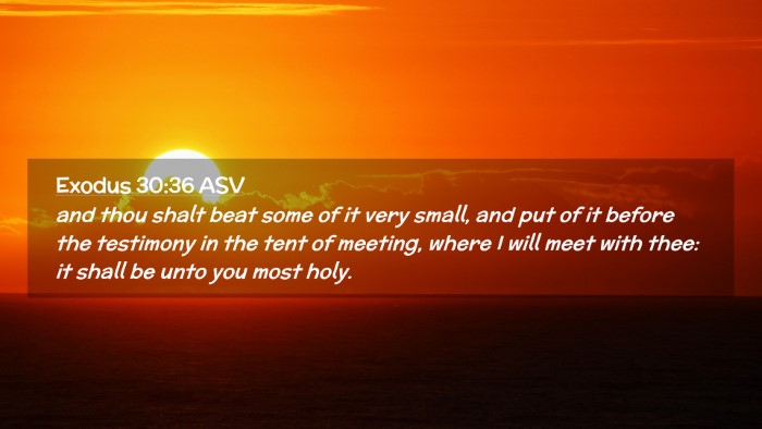 Picture 02 - Exodus 30:36 ASV Desktop Wallpaper - and thou shalt beat some of it very small, and - Desktop Bible Verse Wallpaper