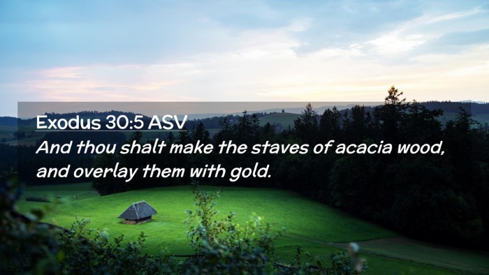 Picture 02 - Exodus 30:5 ASV Desktop Wallpaper - And thou shalt make the staves of acacia wood, - Desktop Bible Verse Wallpaper
