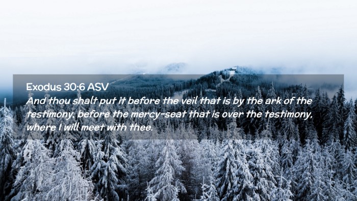 Picture 02 - Exodus 30:6 ASV Desktop Wallpaper - And thou shalt put it before the veil that is by - Desktop Bible Verse Wallpaper