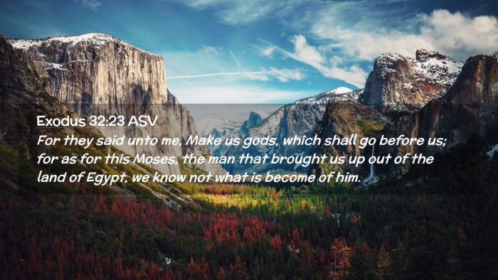 Picture 02 - Exodus 32:23 ASV Desktop Wallpaper - For they said unto me, Make us gods, which shall - Desktop Bible Verse Wallpaper