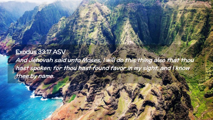 Picture 02 - Exodus 33:17 ASV Desktop Wallpaper - And Jehovah said unto Moses, I will do this thing - Desktop Bible Verse Wallpaper