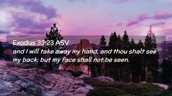 Picture 02 - Exodus 33:23 ASV Desktop Wallpaper - and I will take away my hand, and thou shalt see - Desktop Bible Verse Wallpaper