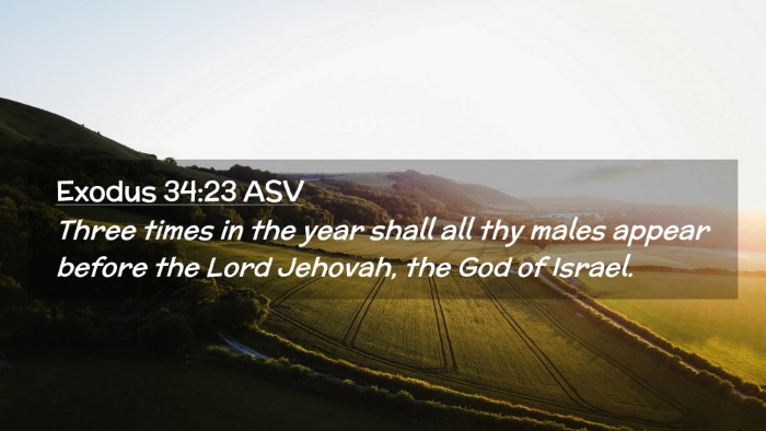 Picture 02 - Exodus 34:23 ASV Desktop Wallpaper - Three times in the year shall all thy males - Desktop Bible Verse Wallpaper