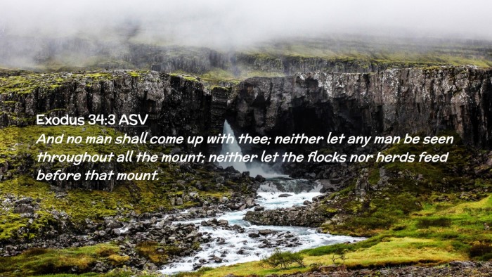 Picture 02 - Exodus 34:3 ASV Desktop Wallpaper - And no man shall come up with thee; neither let - Desktop Bible Verse Wallpaper