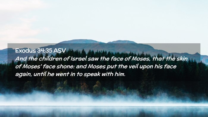 Picture 02 - Exodus 34:35 ASV Desktop Wallpaper - And the children of Israel saw the face of Moses, - Desktop Bible Verse Wallpaper