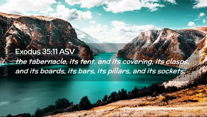 Picture 02 - Exodus 35:11 ASV Desktop Wallpaper - the tabernacle, its tent, and its covering, its - Desktop Bible Verse Wallpaper