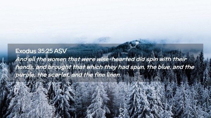 Picture 02 - Exodus 35:25 ASV Desktop Wallpaper - And all the women that were wise-hearted did spin - Desktop Bible Verse Wallpaper