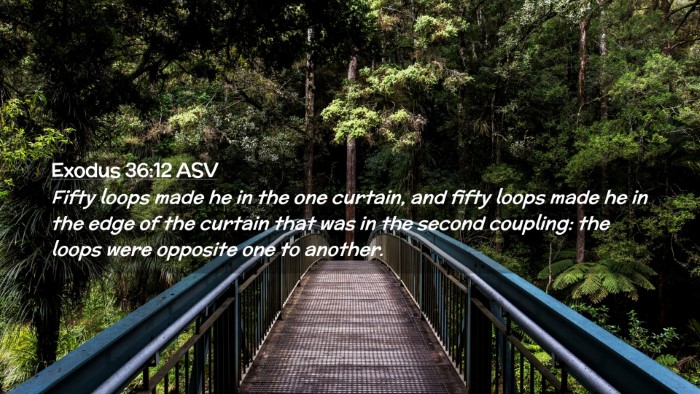 Picture 02 - Exodus 36:12 ASV Desktop Wallpaper - Fifty loops made he in the one curtain, and fifty - Desktop Bible Verse Wallpaper