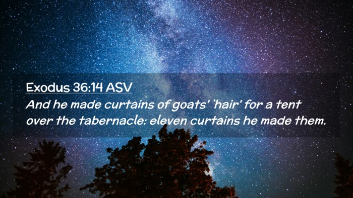 Picture 02 - Exodus 36:14 ASV Desktop Wallpaper - And he made curtains of goats' `hair' for a tent - Desktop Bible Verse Wallpaper