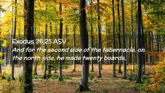 Picture 02 - Exodus 36:25 ASV Desktop Wallpaper - And for the second side of the tabernacle, on the - Desktop Bible Verse Wallpaper
