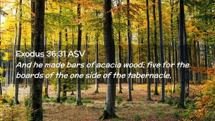 Picture 02 - Exodus 36:31 ASV Desktop Wallpaper - And he made bars of acacia wood; five for the - Desktop Bible Verse Wallpaper