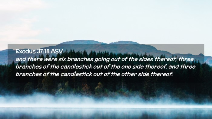 Picture 02 - Exodus 37:18 ASV Desktop Wallpaper - and there were six branches going out of the - Desktop Bible Verse Wallpaper