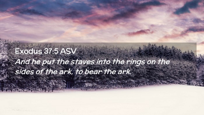 Picture 02 - Exodus 37:5 ASV Desktop Wallpaper - And he put the staves into the rings on the sides - Desktop Bible Verse Wallpaper