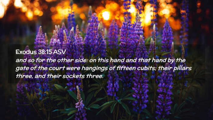 Picture 02 - Exodus 38:15 ASV Desktop Wallpaper - and so for the other side: on this hand and that - Desktop Bible Verse Wallpaper