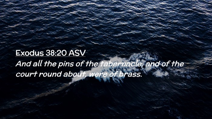Picture 02 - Exodus 38:20 ASV Desktop Wallpaper - And all the pins of the tabernacle, and of the - Desktop Bible Verse Wallpaper