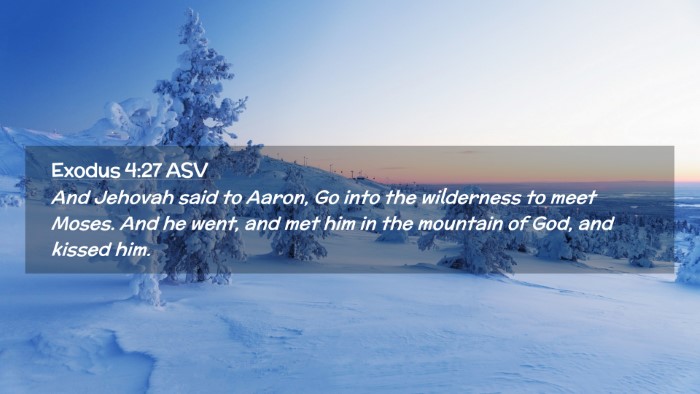 Picture 02 - Exodus 4:27 ASV Desktop Wallpaper - And Jehovah said to Aaron, Go into the wilderness - Desktop Bible Verse Wallpaper