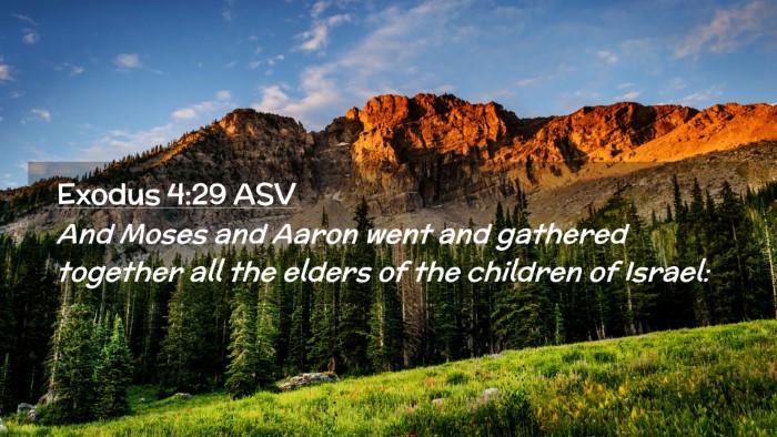 Picture 02 - Exodus 4:29 ASV Desktop Wallpaper - And Moses and Aaron went and gathered together - Desktop Bible Verse Wallpaper