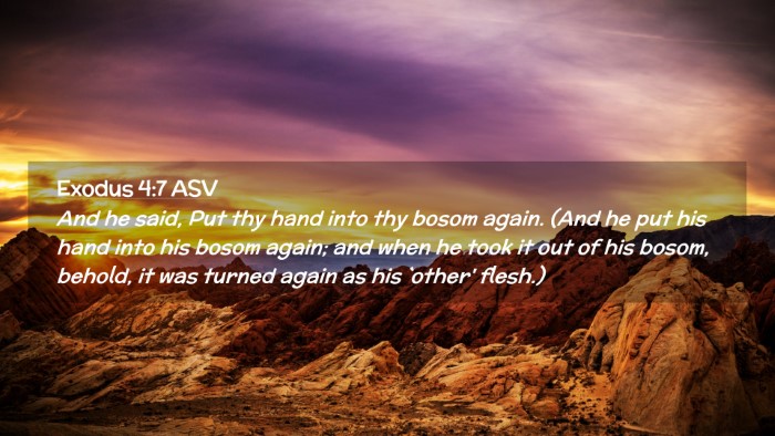 Picture 02 - Exodus 4:7 ASV Desktop Wallpaper - And he said, Put thy hand into thy bosom again. - Desktop Bible Verse Wallpaper