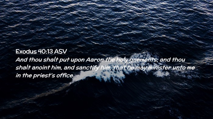 Picture 02 - Exodus 40:13 ASV Desktop Wallpaper - And thou shalt put upon Aaron the holy garments; - Desktop Bible Verse Wallpaper