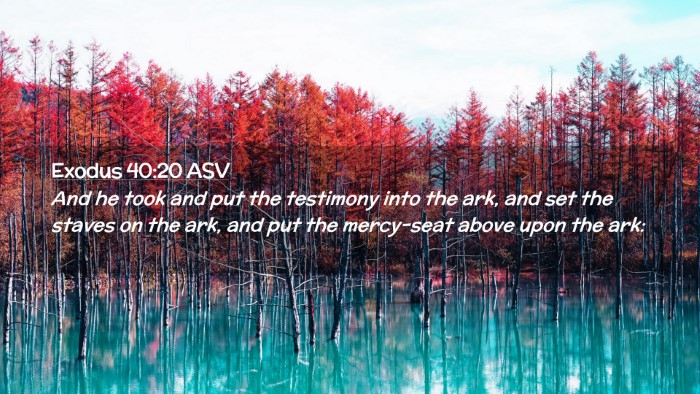 Picture 02 - Exodus 40:20 ASV Desktop Wallpaper - And he took and put the testimony into the ark, - Desktop Bible Verse Wallpaper