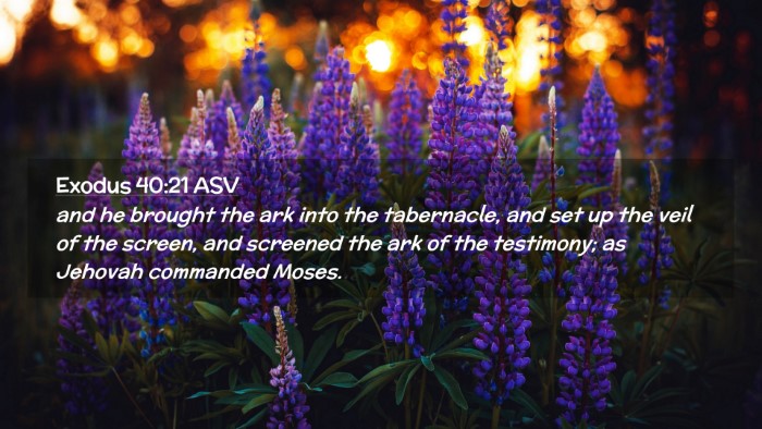 Picture 02 - Exodus 40:21 ASV Desktop Wallpaper - and he brought the ark into the tabernacle, and - Desktop Bible Verse Wallpaper