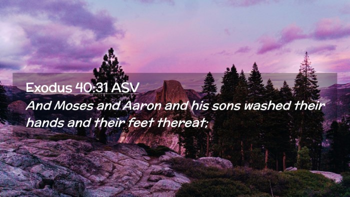 Picture 02 - Exodus 40:31 ASV Desktop Wallpaper - And Moses and Aaron and his sons washed their - Desktop Bible Verse Wallpaper