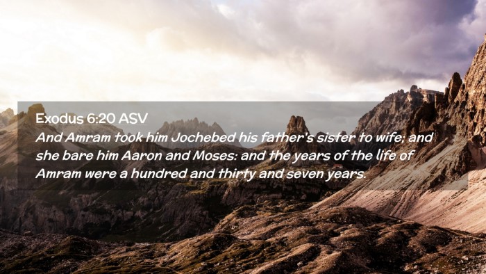 Picture 02 - Exodus 6:20 ASV Desktop Wallpaper - And Amram took him Jochebed his father's sister - Desktop Bible Verse Wallpaper