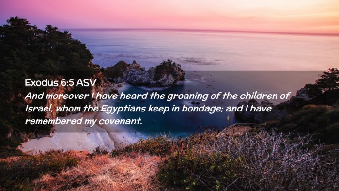 Picture 02 - Exodus 6:5 ASV Desktop Wallpaper - And moreover I have heard the groaning of the - Desktop Bible Verse Wallpaper