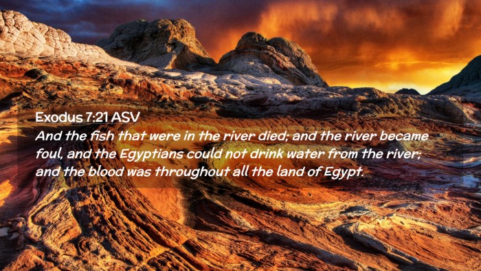 Picture 02 - Exodus 7:21 ASV Desktop Wallpaper - And the fish that were in the river died; and the - Desktop Bible Verse Wallpaper