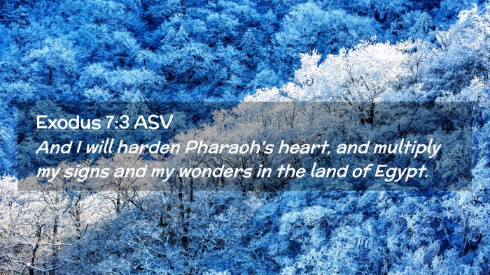 Picture 02 - Exodus 7:3 ASV Desktop Wallpaper - And I will harden Pharaoh's heart, and multiply - Desktop Bible Verse Wallpaper
