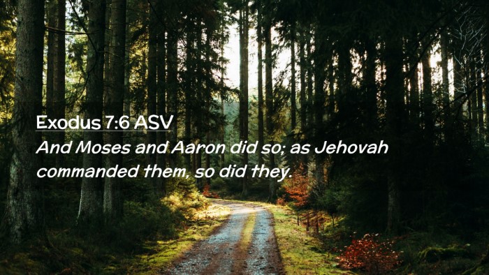 Picture 02 - Exodus 7:6 ASV Desktop Wallpaper - And Moses and Aaron did so; as Jehovah commanded - Desktop Bible Verse Wallpaper