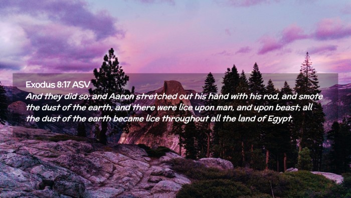 Picture 02 - Exodus 8:17 ASV Desktop Wallpaper - And they did so; and Aaron stretched out his hand - Desktop Bible Verse Wallpaper