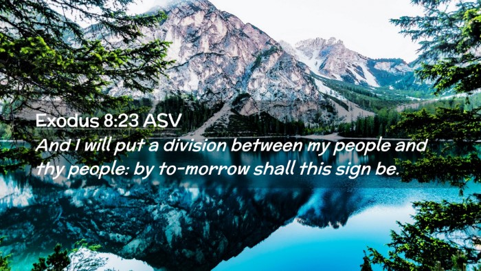 Picture 02 - Exodus 8:23 ASV Desktop Wallpaper - And I will put a division between my people and - Desktop Bible Verse Wallpaper