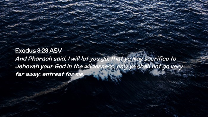 Picture 02 - Exodus 8:28 ASV Desktop Wallpaper - And Pharaoh said, I will let you go, that ye may - Desktop Bible Verse Wallpaper