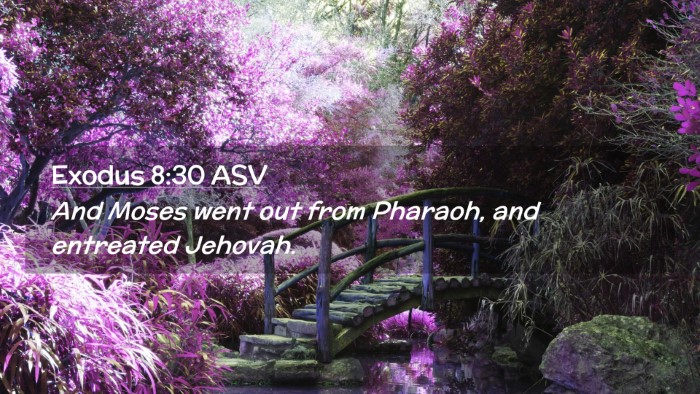 Picture 02 - Exodus 8:30 ASV Desktop Wallpaper - And Moses went out from Pharaoh, and entreated - Desktop Bible Verse Wallpaper