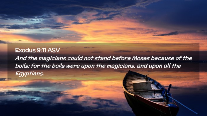 Picture 02 - Exodus 9:11 ASV Desktop Wallpaper - And the magicians could not stand before Moses - Desktop Bible Verse Wallpaper
