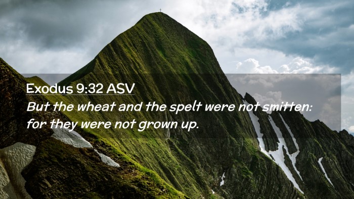Picture 02 - Exodus 9:32 ASV Desktop Wallpaper - But the wheat and the spelt were not smitten: for - Desktop Bible Verse Wallpaper