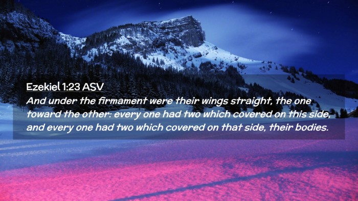 Picture 02 - Ezekiel 1:23 ASV Desktop Wallpaper - And under the firmament were their wings - Desktop Bible Verse Wallpaper