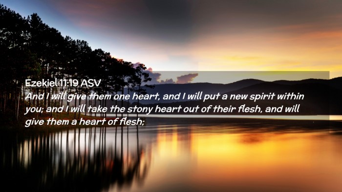 Picture 02 - Ezekiel 11:19 ASV Desktop Wallpaper - And I will give them one heart, and I will put a - Desktop Bible Verse Wallpaper
