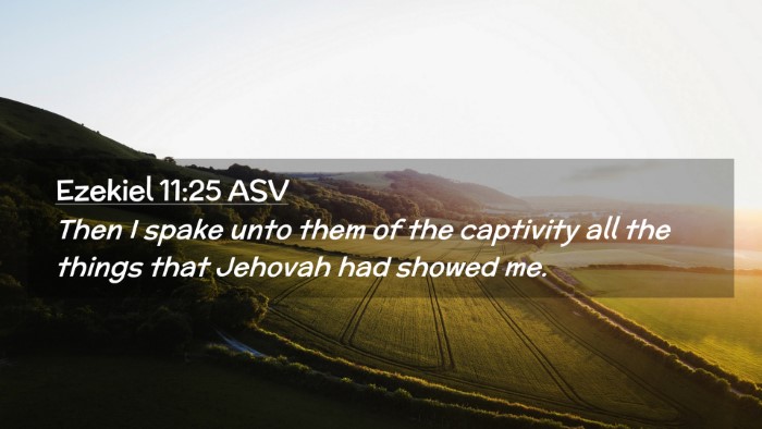 Picture 02 - Ezekiel 11:25 ASV Desktop Wallpaper - Then I spake unto them of the captivity all the - Desktop Bible Verse Wallpaper